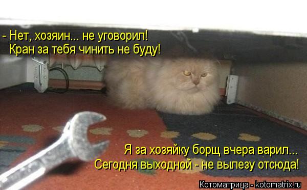 - Нет, хозяин... не уговорил! Кран за тебя чинить не буду! Я за хозяйку борщ вчера варил... Сегодня в... Котоматрица: - Нет, хозяин... не уговорил! Кран за тебя чинить не буду! Я за хозяйку борщ вчера варил... Сегодня выходной - не вылезу отсюда!