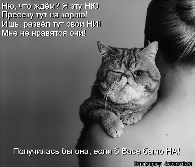 Котоматрица: Пресеку тут на корню! Ишь, развёл тут свои НИ! Мне не нравятся они! Ню, что ждём? Я эту НЮ Получилась бы она, если б Васе было НА!