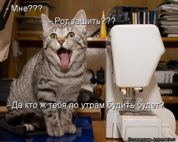 - Мне??? - Рот зашить??? - Да кто ж тебя по утрам будить будет?... Котоматрица: - Мне??? - Рот зашить??? - Да кто ж тебя по утрам будить будет?