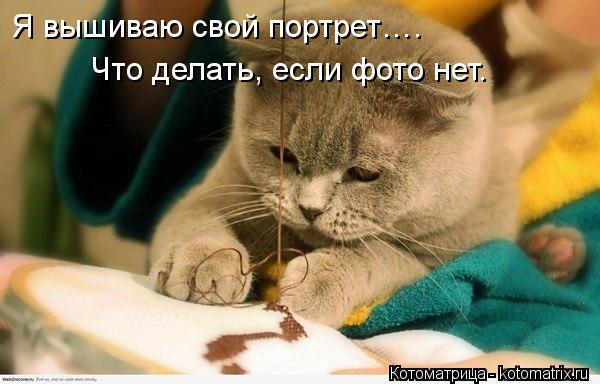 Я вышиваю свой портрет…. Что делать, если фото нет.... Котоматрица: Я вышиваю свой портрет…. Что делать, если фото нет.