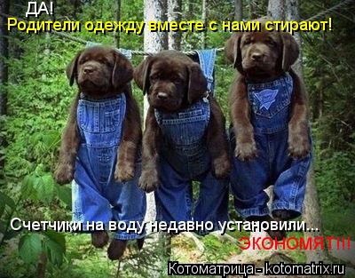 Котоматрица: Счетчики на воду недавно установили... ДА! Родители одежду вместе с нами стирают! ЭКОНОМЯТ!!!