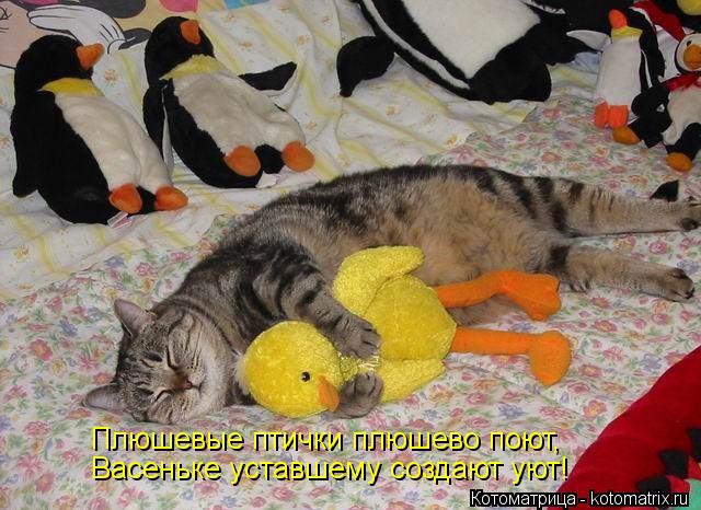 Плюшевые птички плюшево поют, . Васеньке уставшему с... Котоматрица: Плюшевые птички плюшево поют, . Васеньке уставшему создают уют! .