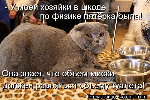 - У моей хозяйки в школе по физике пятёрка была! Она знает, что объем миски должен равняться объему ... Котоматрица: - У моей хозяйки в школе по физике пятёрка была! Она знает, что объем миски должен равняться объему туалета!