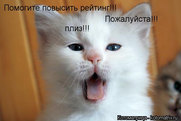 Помогите повысить рейтинг!!! Пожалуйста!!! плиз!!!... Котоматрица: Помогите повысить рейтинг!!! Пожалуйста!!! плиз!!!