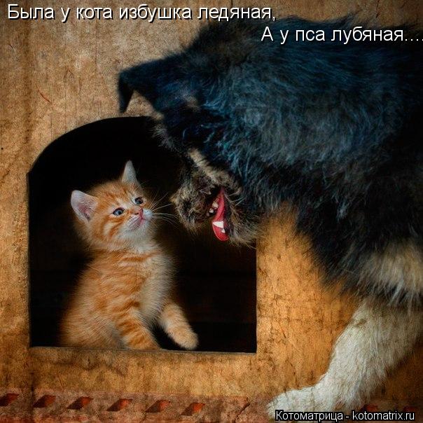 Была у кота избушка ледяная, А у пса лубяная....... Котоматрица: Была у кота избушка ледяная, А у пса лубяная....