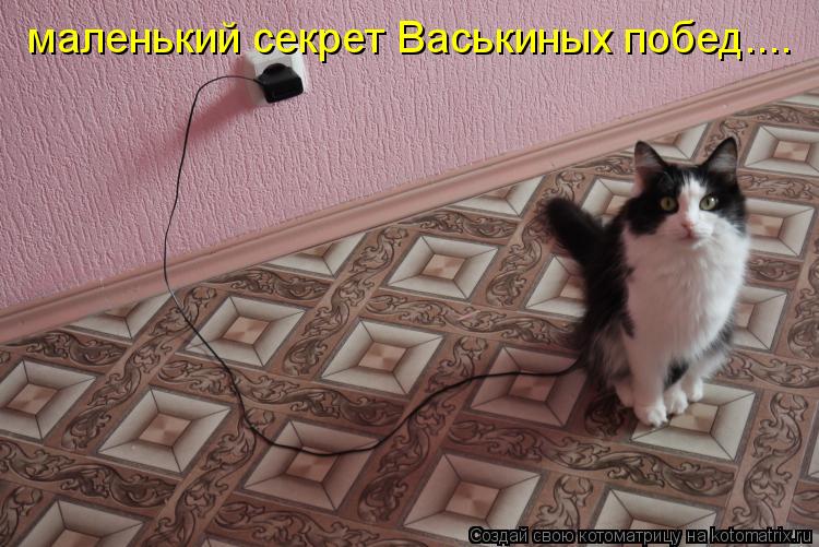 маленький секрет Васькиных побед....... Котоматрица: маленький секрет Васькиных побед....