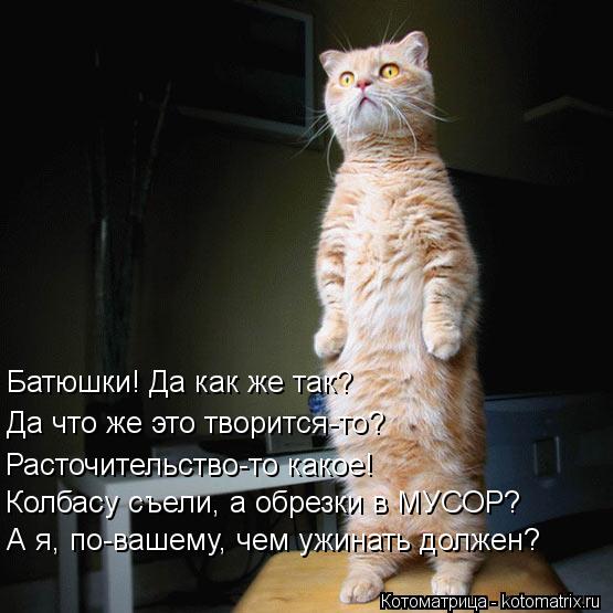 Батюшки! Да как же так? Да что же это творится-то? Расточительство-то какое! Колбасу съели, а обрезки... Котоматрица: Батюшки! Да как же так? Да что же это творится-то? Расточительство-то какое! Колбасу съели, а обрезки в МУСОР? А я, по-вашему, чем ужинать долже