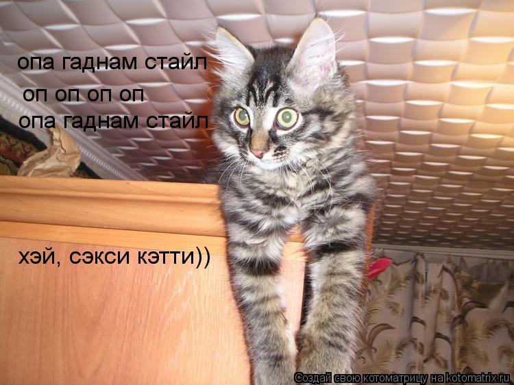 опа гаднам стайл оп оп оп оп опа гаднам стайл хэй, сэкси кэтти))... Котоматрица: опа гаднам стайл оп оп оп оп опа гаднам стайл хэй, сэкси кэтти))