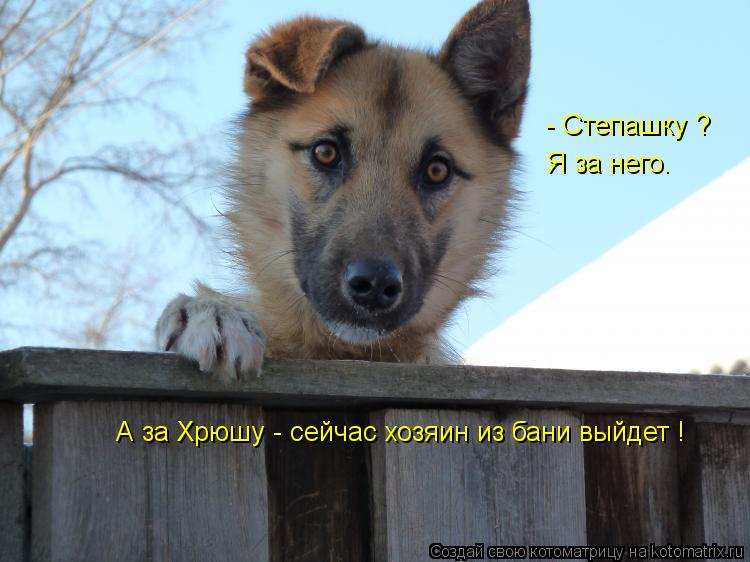 - Степашку ? Я за него. А за Хрюшу - сейчас хозяин из бани выйдет !... Котоматрица: - Степашку ? Я за него. А за Хрюшу - сейчас хозяин из бани выйдет !