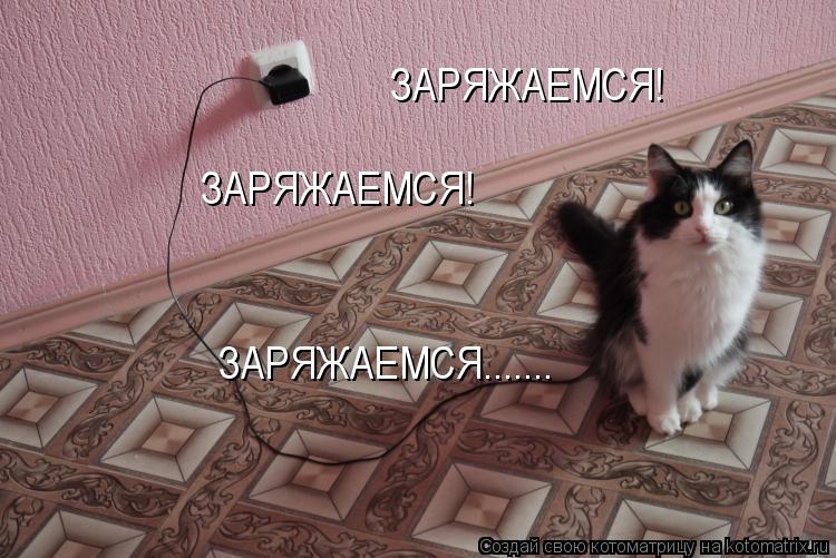 ЗАРЯЖАЕМСЯ! ЗАРЯЖАЕМСЯ! ЗАРЯЖАЕМСЯ.......... Котоматрица: ЗАРЯЖАЕМСЯ! ЗАРЯЖАЕМСЯ! ЗАРЯЖАЕМСЯ.......