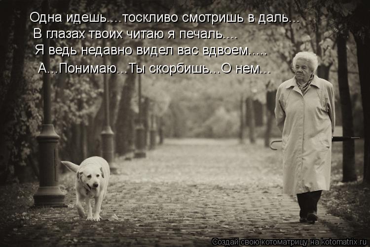 Одна идешь....тоскливо смотришь в даль... В глазах твоих читаю я печаль.... Я ведь недавно видел ва... Котоматрица: Одна идешь....тоскливо смотришь в даль... В глазах твоих читаю я печаль.... Я ведь недавно видел вас вдвоем..... А...Понимаю...Ты скорбишь...О нем...