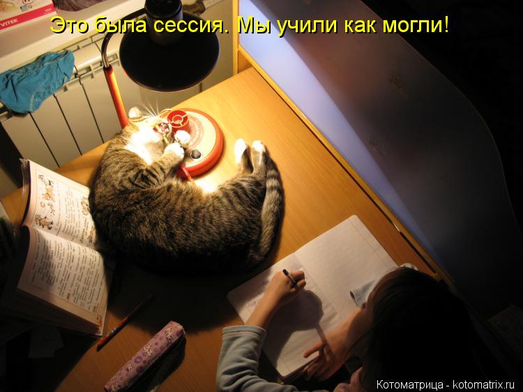 Это была сессия. Мы учили как могли!... Котоматрица: Это была сессия. Мы учили как могли!