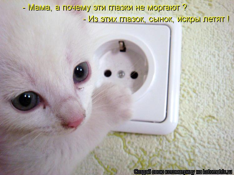 - Мама, а почему эти глазки не моргают ? - Из этих глазок, сынок, искры летят !... Котоматрица: - Мама, а почему эти глазки не моргают ? - Из этих глазок, сынок, искры летят !