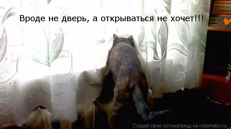 Вроде не дверь, а открываться не хочет!!!... Котоматрица: Вроде не дверь, а открываться не хочет!!!