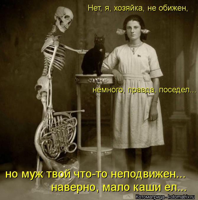 Котоматрица: наверно, мало каши ел... но муж твой что-то неподвижен... немного, правда, поседел... Нет, я, хозяйка, не обижен,