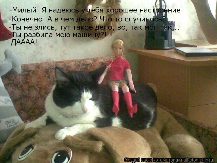 -Милый! Я надеюсь у тебя хорошее настроение! -Конечно! А в чем дело? Что то случилось? -Ты не злись, ... Котоматрица: -Милый! Я надеюсь у тебя хорошее настроение! -Конечно! А в чем дело? Что то случилось? -Ты не злись, тут такое дело, во, так мол так... -Ты разбила