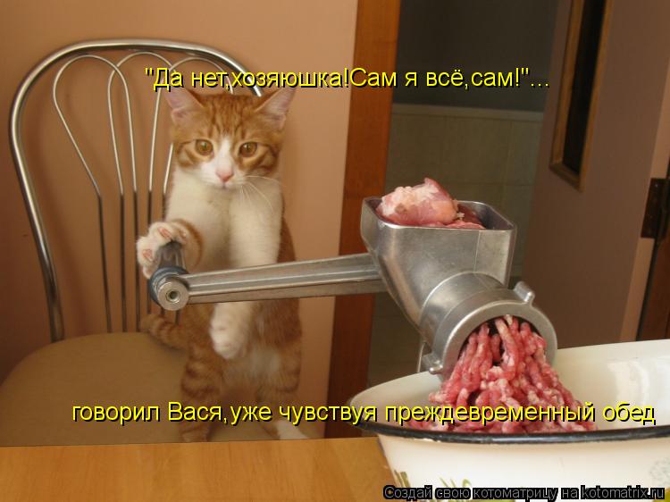 "Да нет,хозяюшка!Сам я всё,сам!"... говорил Вася,уже чувствуя преждевременный обед... Котоматрица: "Да нет,хозяюшка!Сам я всё,сам!"... говорил Вася,уже чувствуя преждевременный обед