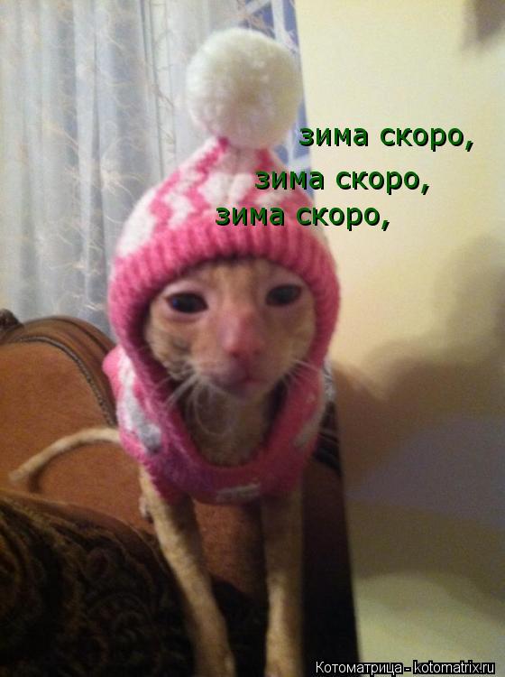 зима скоро, зима скоро, зима скоро, зима скоро,... Котоматрица: зима скоро, зима скоро, зима скоро, зима скоро,