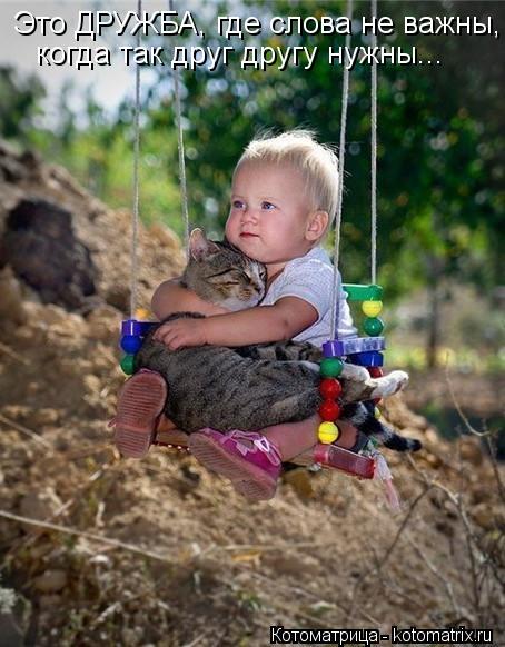 когда так друг другу нужны... Это ДРУЖБА, где слова не важны,... Котоматрица: когда так друг другу нужны... Это ДРУЖБА, где слова не важны,