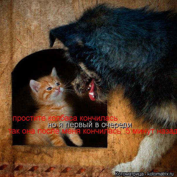 простите колбаса кончилась но я первый в очереди так она после меня кончилась 5 минут назад... Котоматрица: простите колбаса кончилась но я первый в очереди так она после меня кончилась 5 минут назад