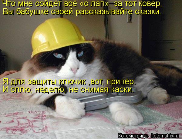 Котоматрица: Что мне сойдёт всё «с лап»  за тот ковёр, Вы бабушке своей рассказывайте сказки. Я для защиты ключик ,вот, припёр. И сплю, неделю, не снимая кас