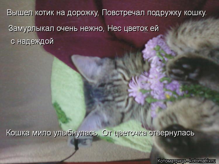 Вышел котик на дорожку, Повстречал подружку кошку. Замурлыкал очень нежно, Нес цветок ей с надеждой... Котоматрица: Вышел котик на дорожку, Повстречал подружку кошку. Замурлыкал очень нежно, Нес цветок ей с надеждой Кошка мило улыбнулась, От цветочка отв