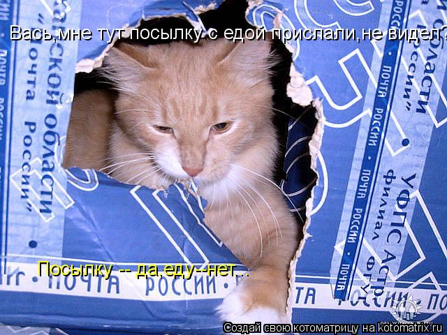 Вась,мне тут посылку с едой прислали,не видел? Посылку -- да,еду--нет...... Котоматрица: Вась,мне тут посылку с едой прислали,не видел? Посылку -- да,еду--нет...
