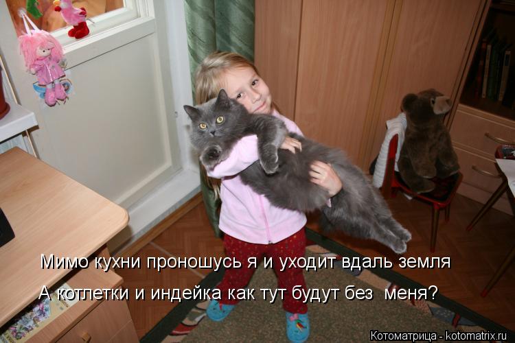 Мимо кухни проношусь я и уходит вдаль земля А котлетки и индейка как тут будут без меня?... Котоматрица: Мимо кухни проношусь я и уходит вдаль земля А котлетки и индейка как тут будут без меня?