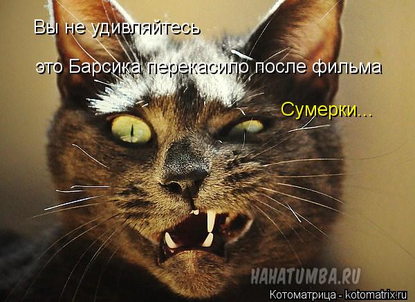 Вы не удивляйтесь это Барсика перекасило после фильма Сумерки...... Котоматрица: Вы не удивляйтесь это Барсика перекасило после фильма Сумерки...