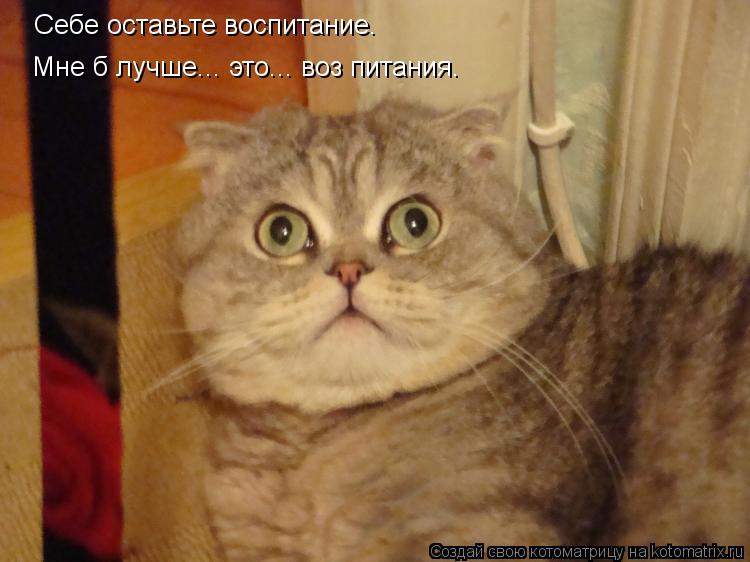Котоматрица: Себе оставьте воспитание. Мне б лучше... это... воз питания.