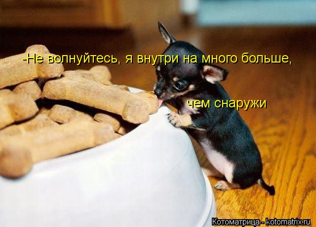 Котоматрица: -Не волнуйтесь, я внутри на много больше,  чем снаружи