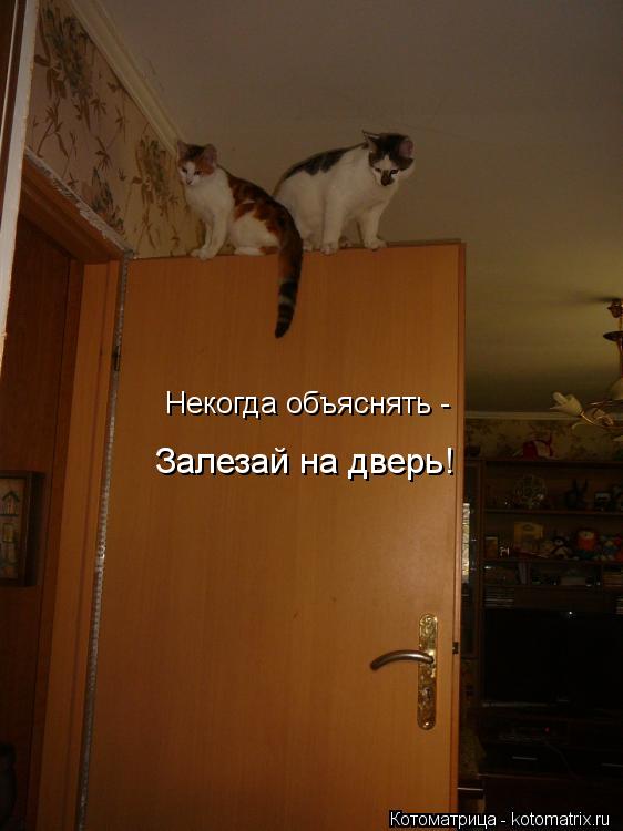Некогда объяснять - Залезай на дверь!... Котоматрица: Некогда объяснять - Залезай на дверь!