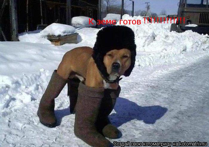 К земе готов !!!!!!!!!!!!!... Котоматрица: К земе готов !!!!!!!!!!!!!