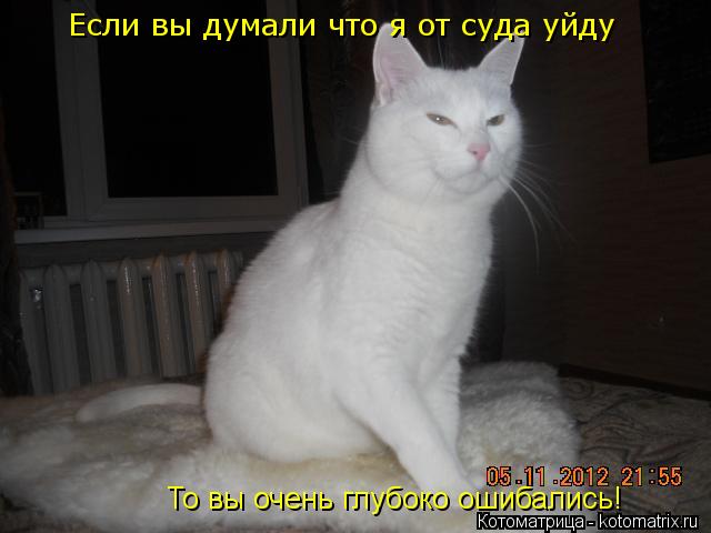 Котоматрица: То вы очень глубоко ошибались! Если вы думали что я от суда уйду