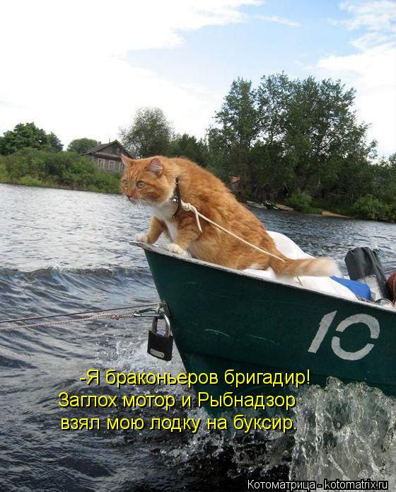 -Я браконьеров бригадир! Заглох мотор и Рыбнадзор взял мою лодку на буксир.... Котоматрица: -Я браконьеров бригадир! Заглох мотор и Рыбнадзор взял мою лодку на буксир.