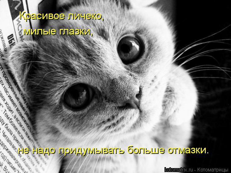 Красивое личеко, милые глазки, не надо придумывать больше отмазки.... Котоматрица: Красивое личеко, милые глазки, не надо придумывать больше отмазки.
