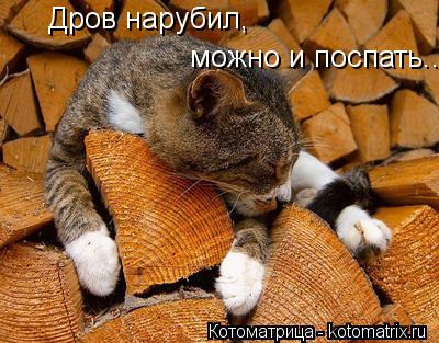 Котоматрица: Дров нарубил, можно и поспать...