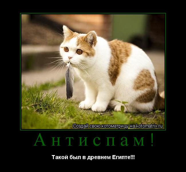 Антиспам! Такой был в древнем Египте!!!... Котоматрица: Антиспам! Такой был в древнем Египте!!!