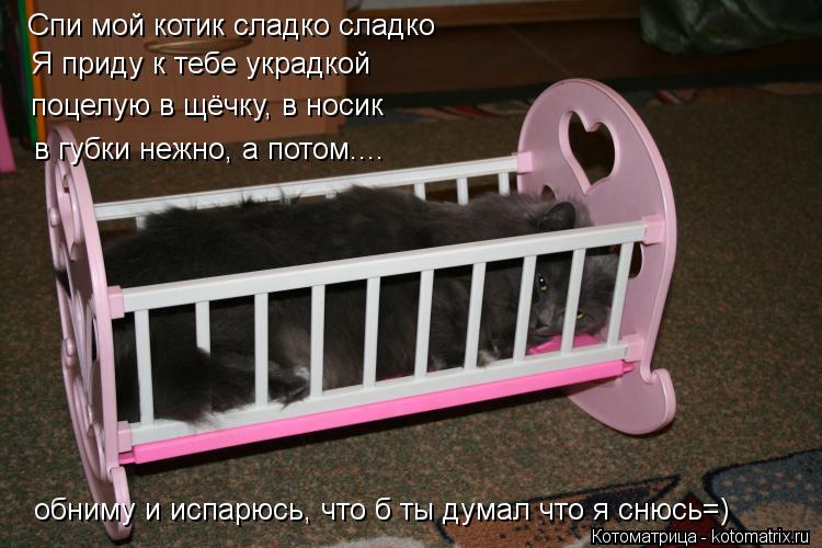 Спи мой котик сладко сладко Я приду к тебе украдкой поцелую в щёчку, в носик в губки нежно, а потом..... Котоматрица: Спи мой котик сладко сладко Я приду к тебе украдкой поцелую в щёчку, в носик в губки нежно, а потом.... обниму и испарюсь, что б ты думал что я с