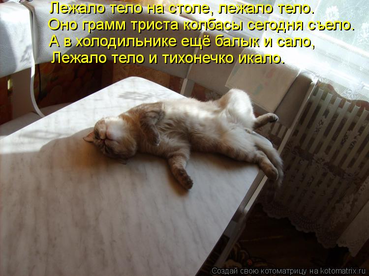 Лежало тело на столе, лежало тело. Оно грамм триста колбасы сегодня съело. А в холодильнике ещё бал... Котоматрица: Лежало тело на столе, лежало тело. Оно грамм триста колбасы сегодня съело. А в холодильнике ещё балык и сало, Лежало тело и тихонечко икало.