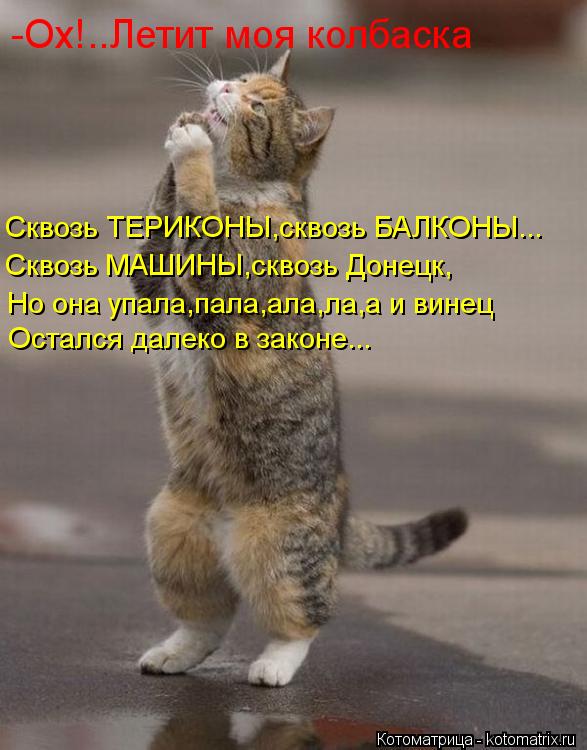 -Ох!..Летит моя колбаска Сквозь ТЕРИКОНЬІ,сквозь БАЛКОНЬІ... Сквозь МАШИНЬІ,сквозь Донецк, Но она упа... Котоматрица: -Ох!..Летит моя колбаска Сквозь ТЕРИКОНЬІ,сквозь БАЛКОНЬІ... Сквозь МАШИНЬІ,сквозь Донецк, Но она упала,пала,ала,ла,а и винец Остался далеко в