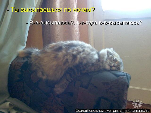 - Ты высыпаешься по ночам? - В-в-высыпаюсь?..к-к-куда в-в-высыпаюсь?... Котоматрица: - Ты высыпаешься по ночам? - В-в-высыпаюсь?..к-к-куда в-в-высыпаюсь?