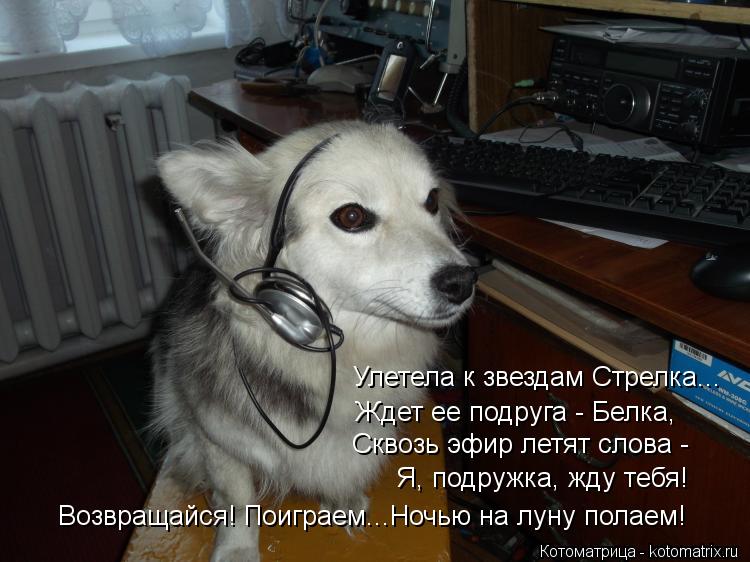 Улетела к звездам Стрелка... Ждет ее подруга - Белка, Сквозь эфир летят слова - Я, подружка, жду тебя... Котоматрица: Улетела к звездам Стрелка... Ждет ее подруга - Белка, Сквозь эфир летят слова - Я, подружка, жду тебя! Возвращайся! Поиграем...Ночью на луну пола