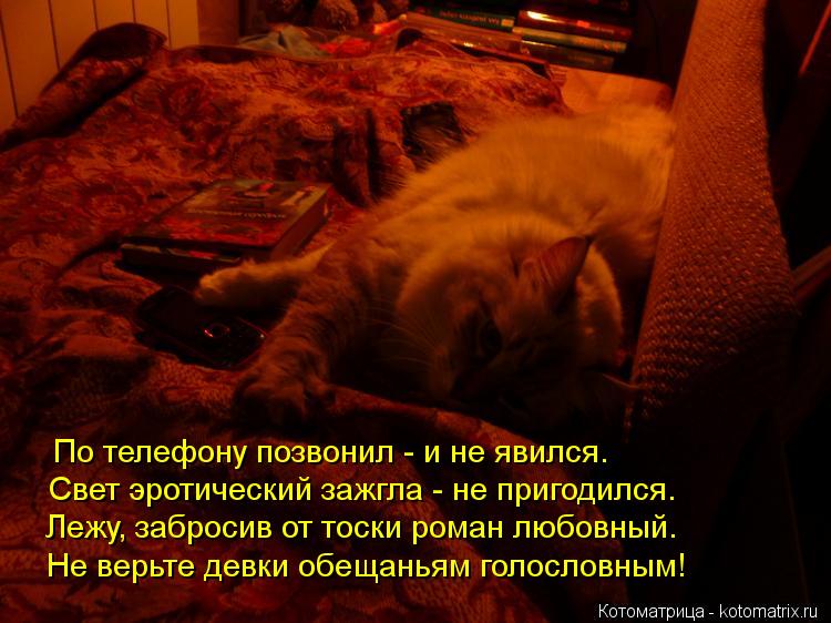 По телефону позвонил - и не явился. Свет эротический зажгла - не пригодился. Лежу, забросив от тоски ... Котоматрица: По телефону позвонил - и не явился. Свет эротический зажгла - не пригодился. Лежу, забросив от тоски роман любовный. Не верьте девки обещанья