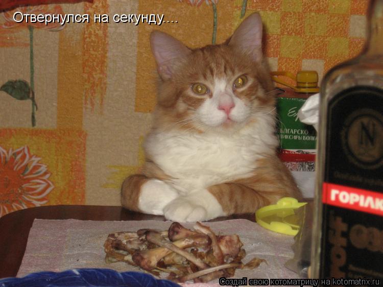 Отвернулся на секунду....... Котоматрица: Отвернулся на секунду....
