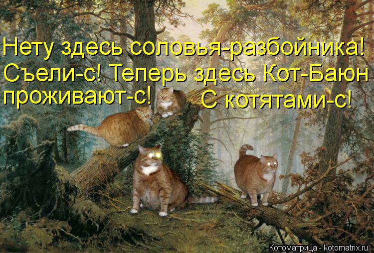Котоматрица: Нету здесь соловья-разбойника!  Съели-с! Теперь здесь Кот-Баюн проживают-с! С котятами-с!