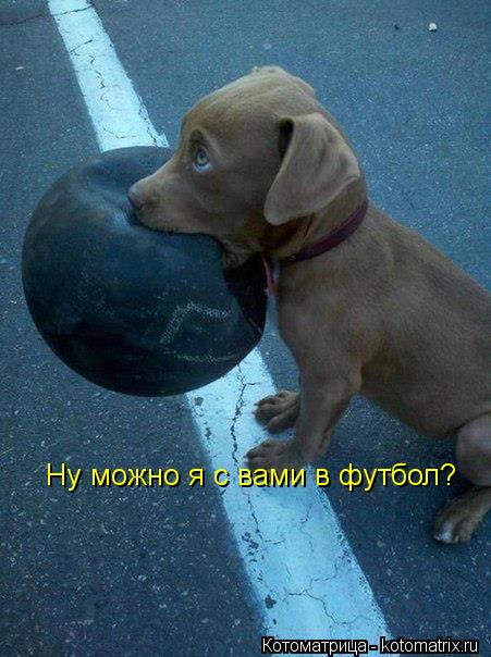 Ну можно я с вами в футбол?... Котоматрица: Ну можно я с вами в футбол?
