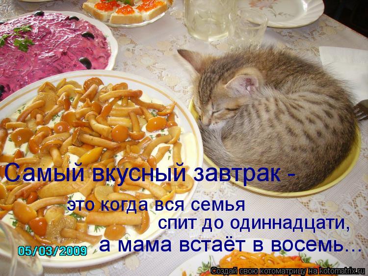 это когда вся семья спит до одиннадцати, а мама встаёт в восемь... Самый вкусный завтрак -... Котоматрица: это когда вся семья спит до одиннадцати, а мама встаёт в восемь... Самый вкусный завтрак -