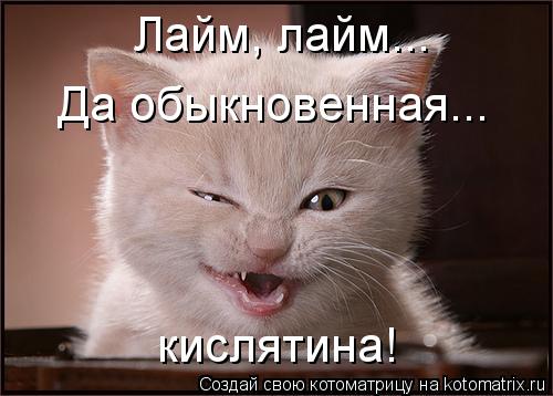 Лайм, лайм... Да обыкновенная... кислятина!... Котоматрица: Лайм, лайм... Да обыкновенная... кислятина!