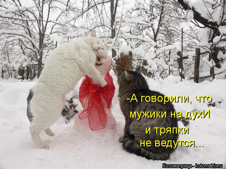 Котоматрица: -А говорили, что мужики на духИ и тряпки не ведутся...